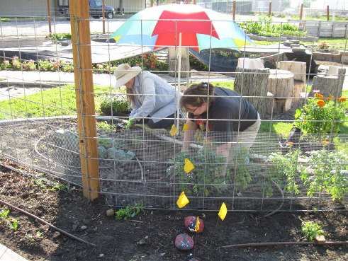 planting at METRA